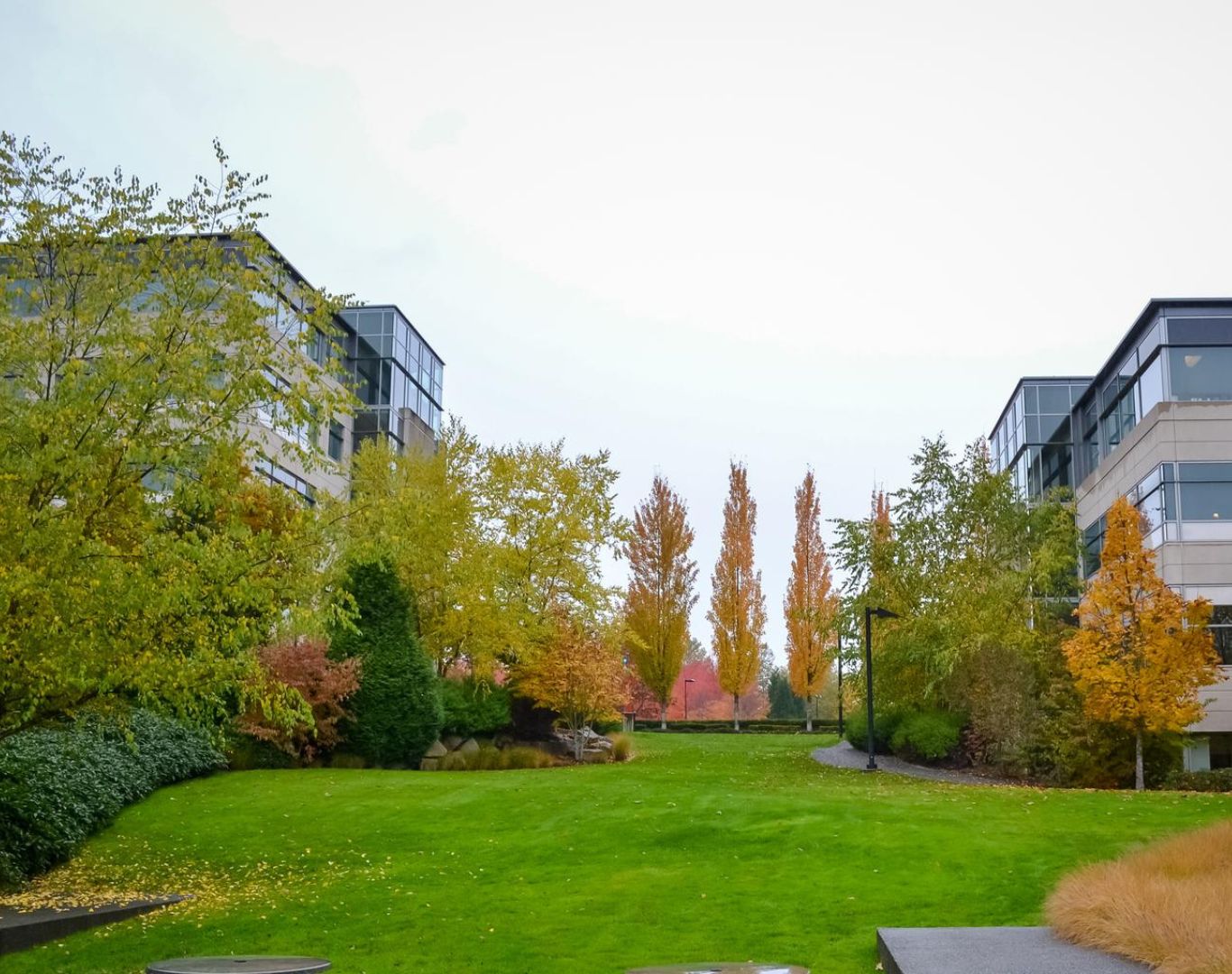 City views, Redmond, WA