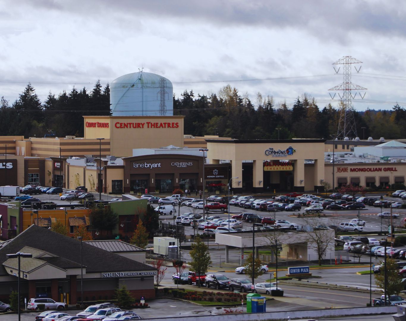 Drone view of Federal Way, WA​